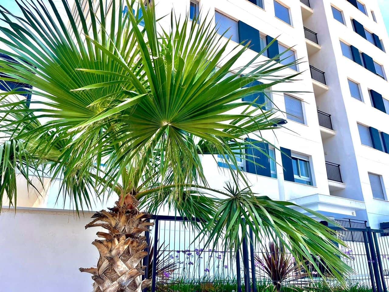 2 Zimmer Apartment zu verkaufen in Cabanes mit Pool Garage - 235.000 € (Ref: 9988453)