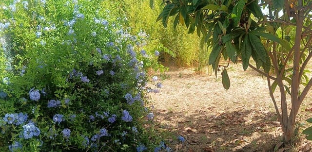 Bouwgrond te koop in Santa Eulàlia de Ronçana - € 140.000 (Ref: 9988472)