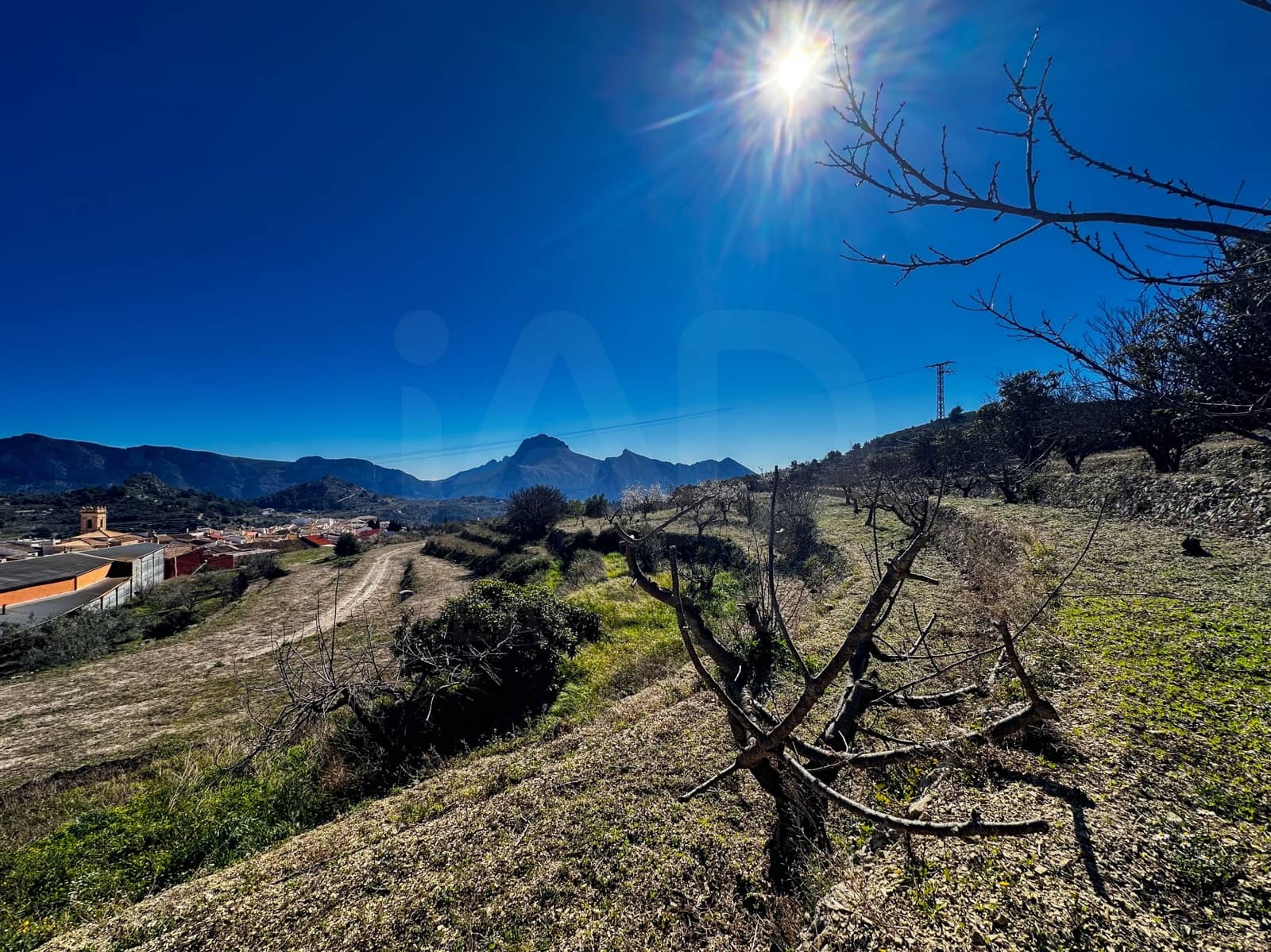 Landgrundstück zu verkaufen in Alicante / Alacant Stadt - 110.000 € (Ref: 9988480)