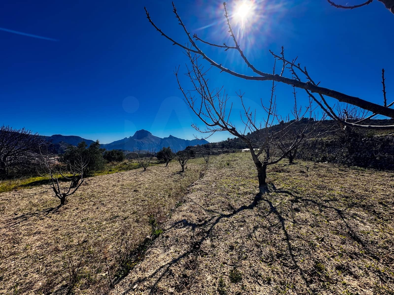 Landgrundstück zu verkaufen in Alicante / Alacant Stadt - 110.000 € (Ref: 9988480)
