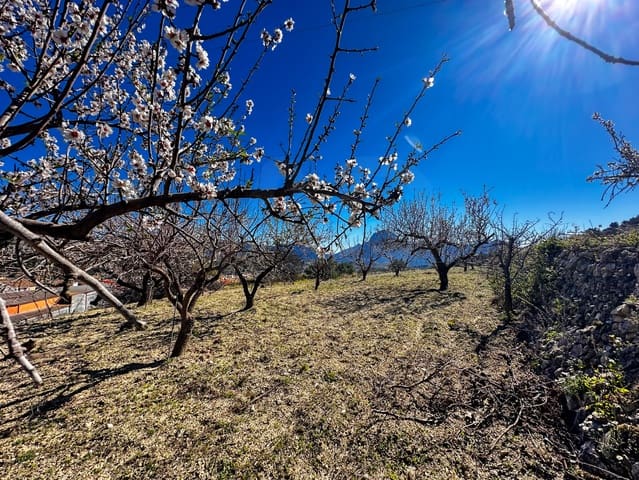 Terreno Non Edificato in vendita in Alicante città - 110.000 € (Rif: 9988480)