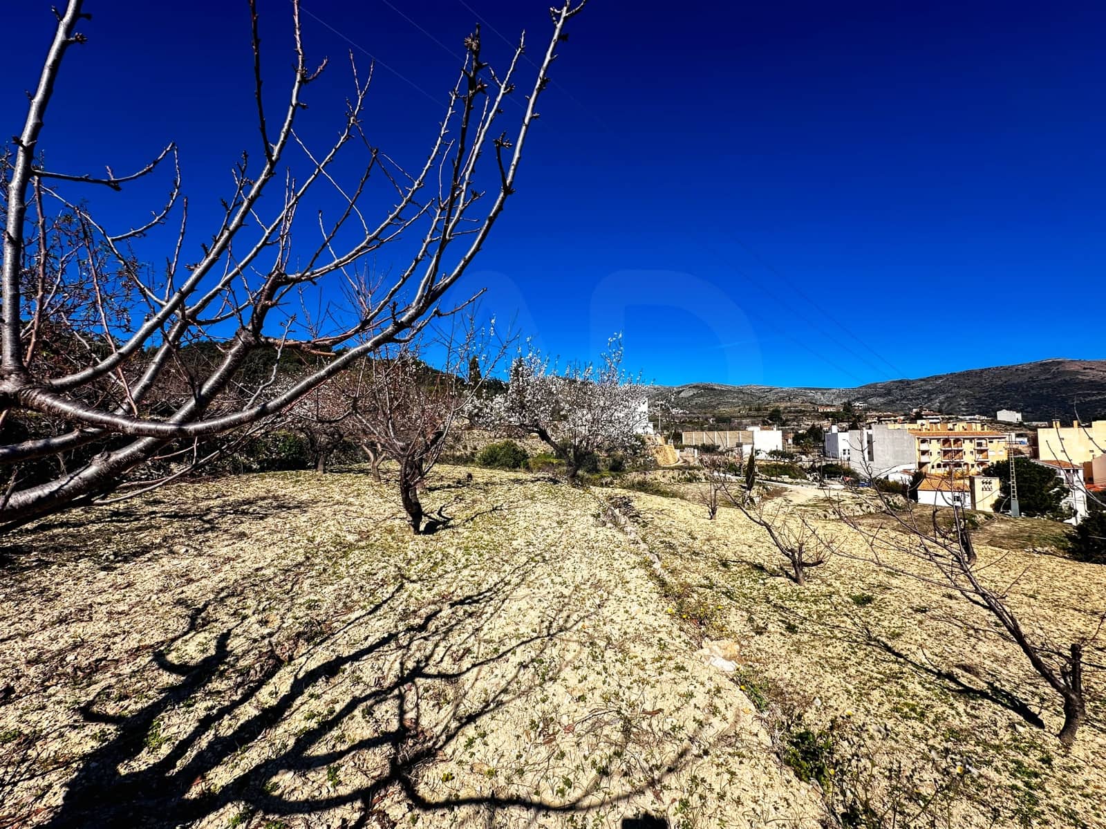 Landgrundstück zu verkaufen in Alicante / Alacant Stadt - 110.000 € (Ref: 9988480)