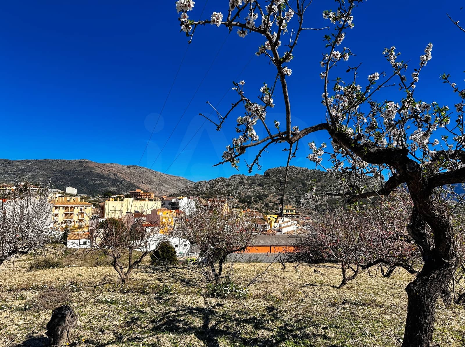 Landgrundstück zu verkaufen in Alicante / Alacant Stadt - 110.000 € (Ref: 9988480)