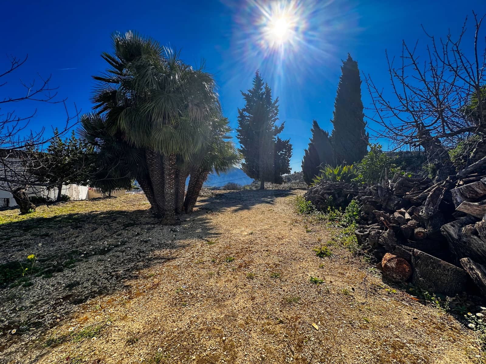 Landgrundstück zu verkaufen in Alicante / Alacant Stadt - 110.000 € (Ref: 9988480)