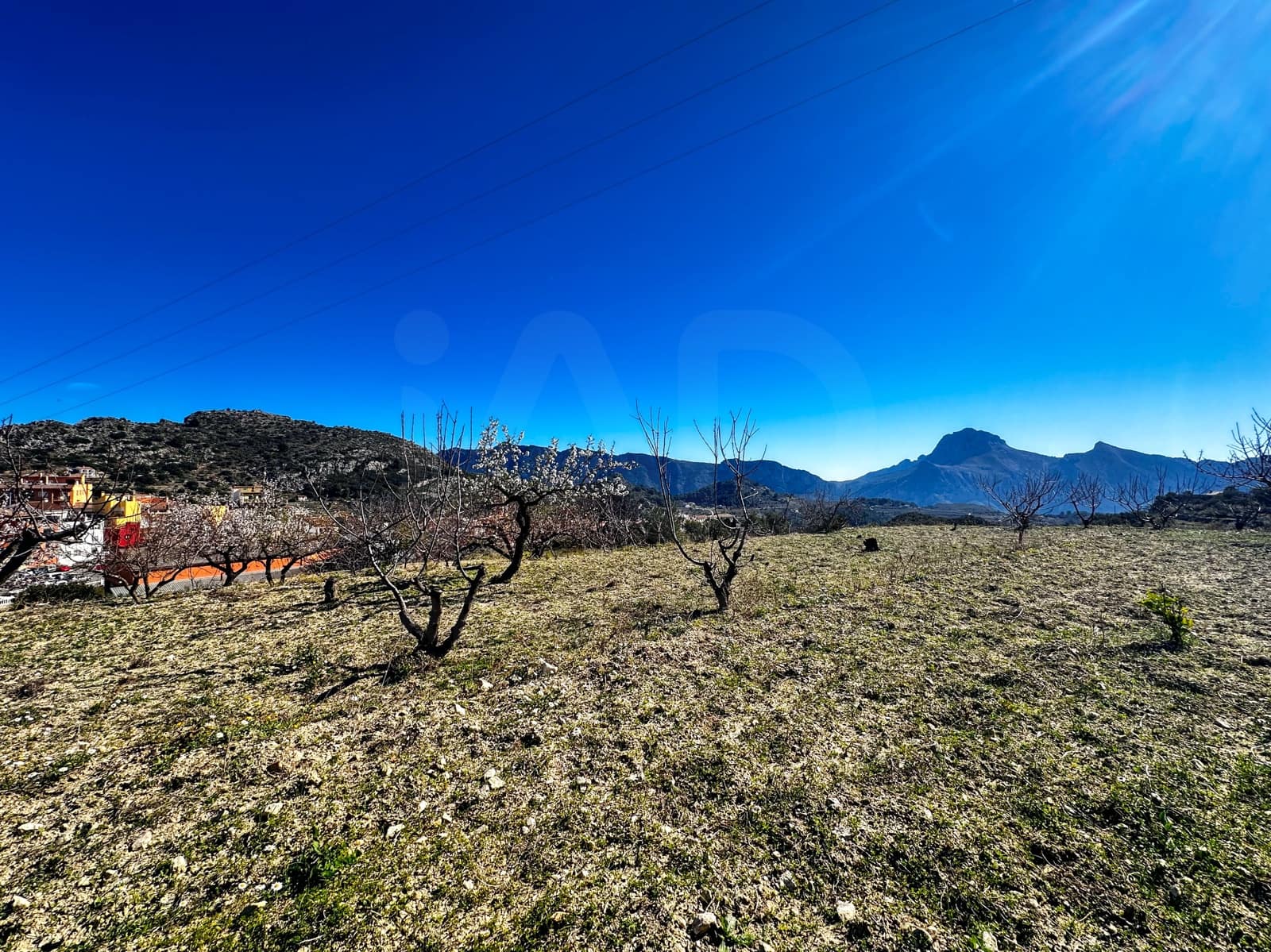 Landgrundstück zu verkaufen in Alicante / Alacant Stadt - 110.000 € (Ref: 9988480)