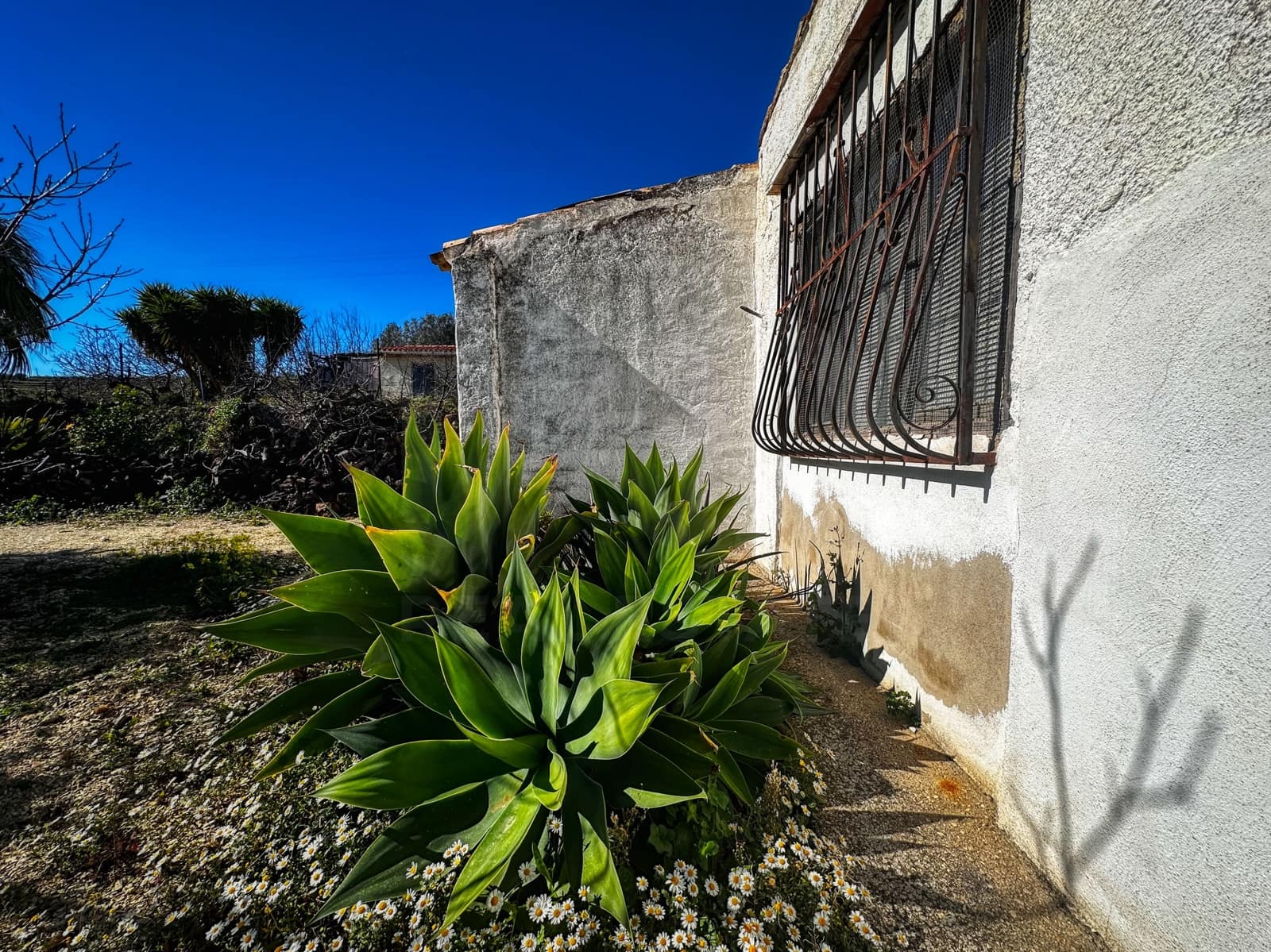 Landgrundstück zu verkaufen in Alicante / Alacant Stadt - 110.000 € (Ref: 9988480)