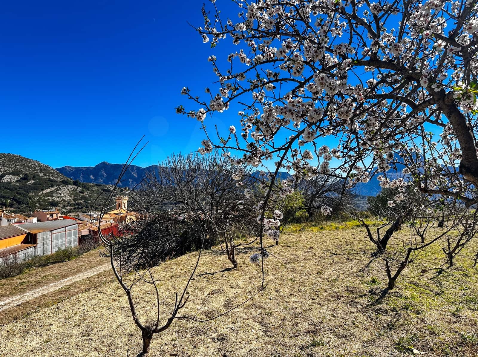 Landgrundstück zu verkaufen in Alicante / Alacant Stadt - 110.000 € (Ref: 9988480)