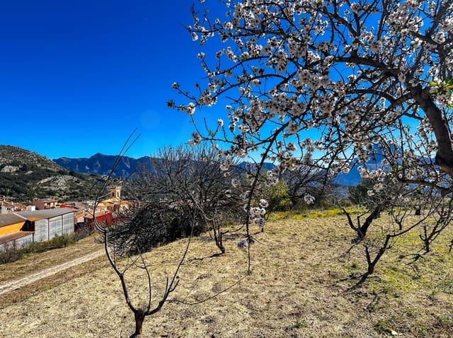 Terreno Non Edificato in vendita in Alicante città - 110.000 € (Rif: 9988480)