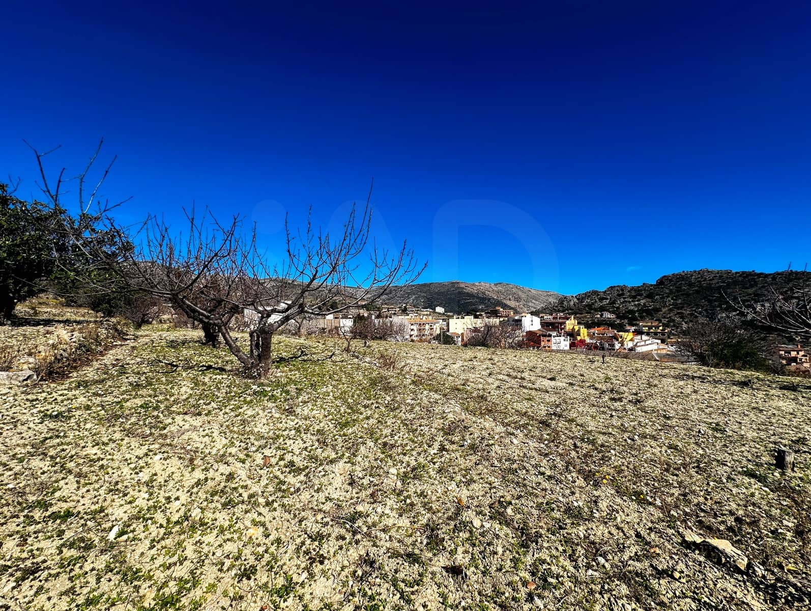 Landgrundstück zu verkaufen in Alicante / Alacant Stadt - 110.000 € (Ref: 9988480)