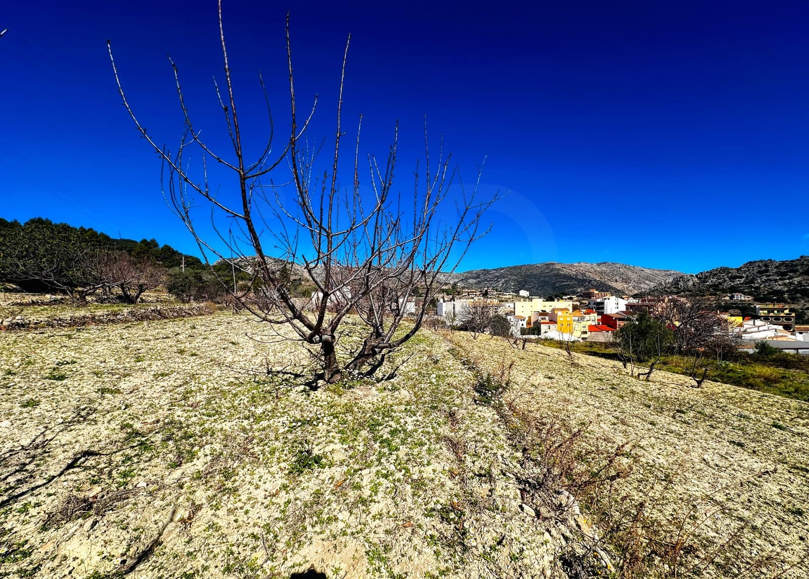 Landgrundstück zu verkaufen in Alicante / Alacant Stadt - 110.000 € (Ref: 9988480)