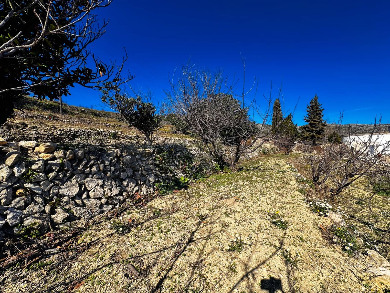 Landgrundstück zu verkaufen in Alicante / Alacant Stadt - 110.000 € (Ref: 9988480)