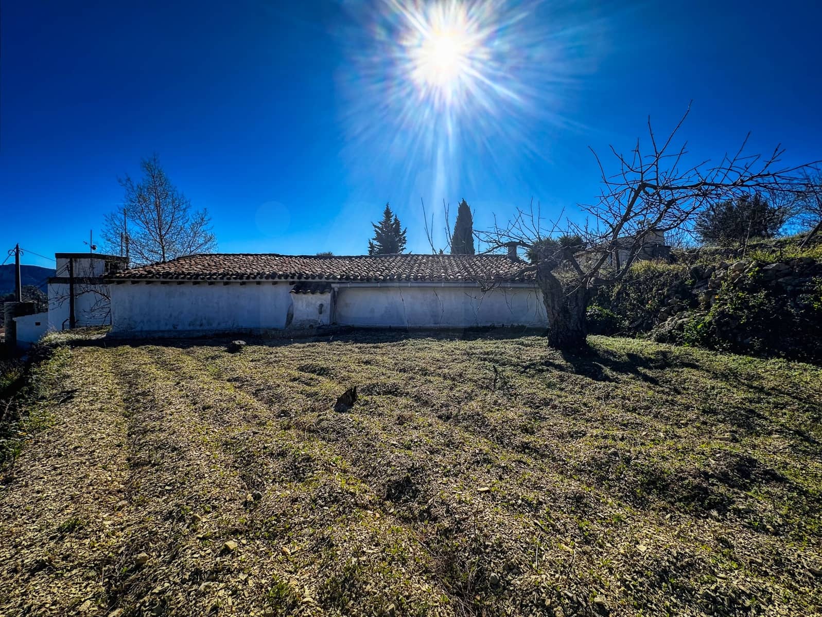 Landgrundstück zu verkaufen in Alicante / Alacant Stadt - 110.000 € (Ref: 9988480)