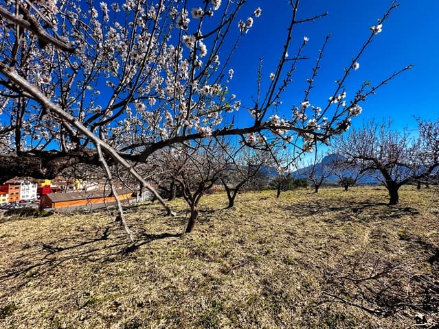 Terreno Non Edificato in vendita in Alicante città - 110.000 € (Rif: 9988480)