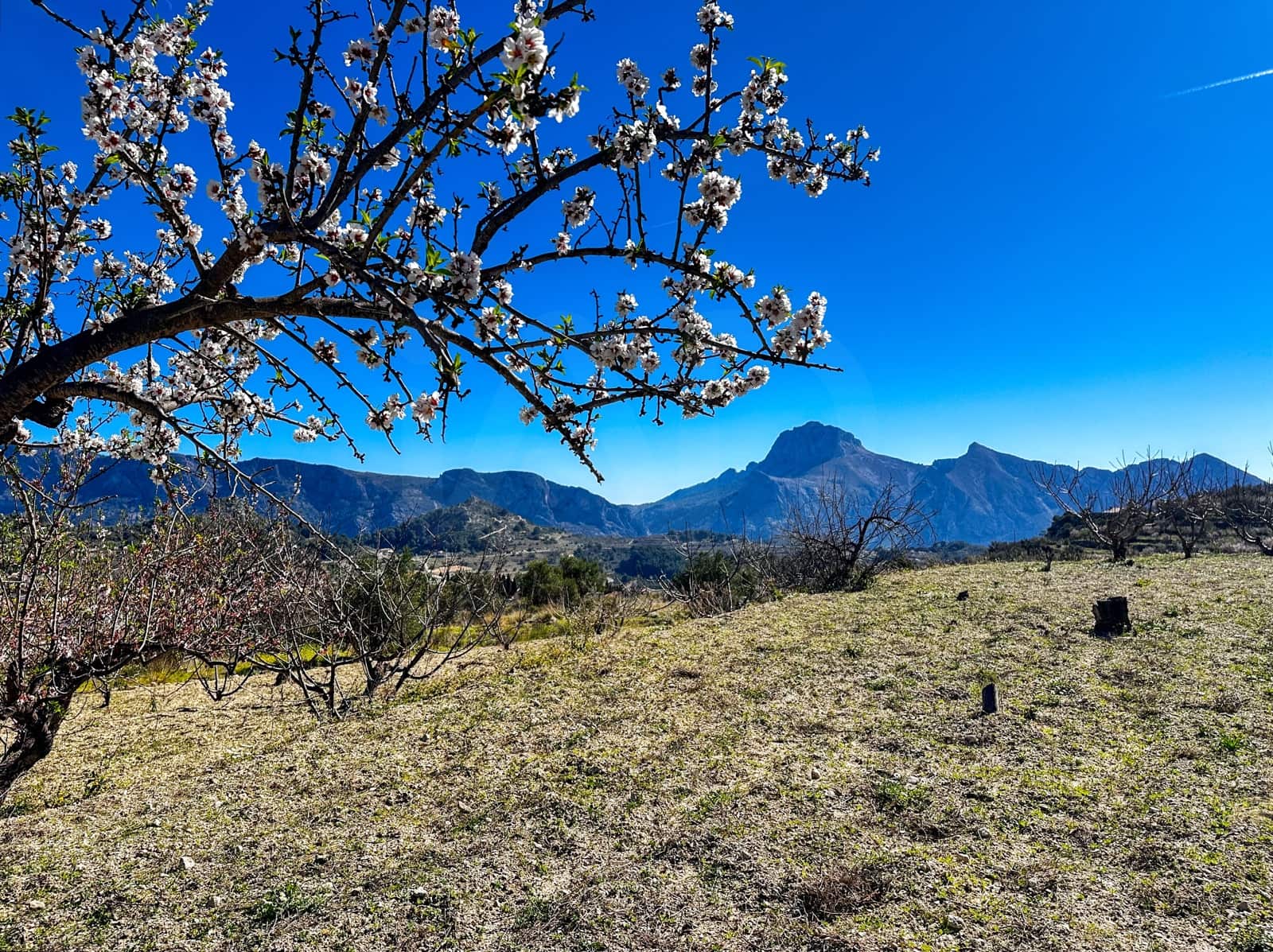 Landgrundstück zu verkaufen in Alicante / Alacant Stadt - 110.000 € (Ref: 9988480)