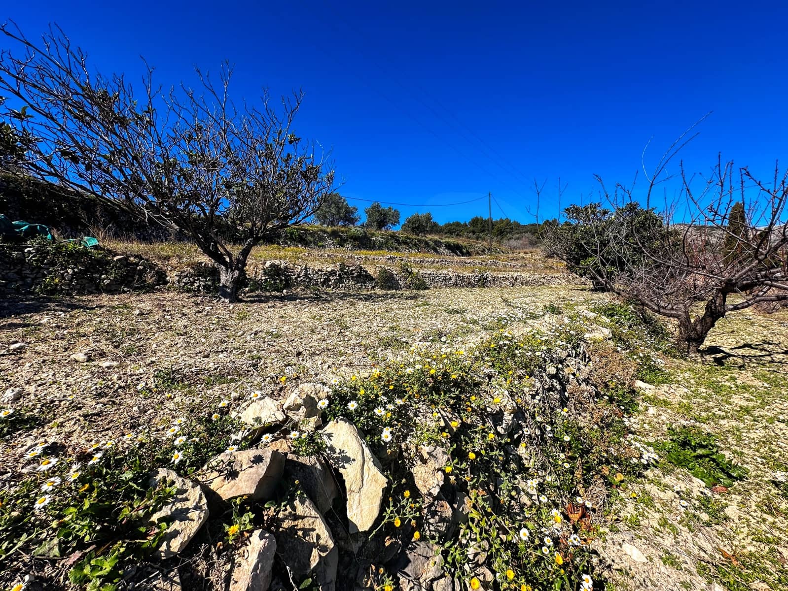 Landgrundstück zu verkaufen in Alicante / Alacant Stadt - 110.000 € (Ref: 9988480)