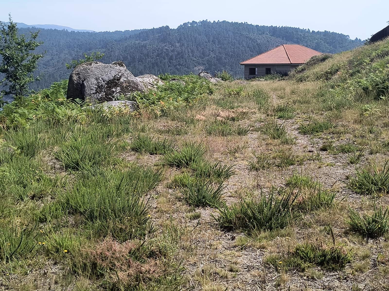 Mark till salu i Ourense stad - 159 700 € (Ref: 9988482)
