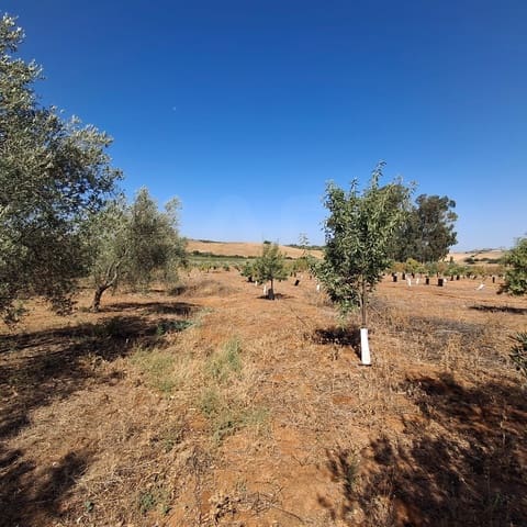 Grond te koop in Cádiz stad - € 99.000 (Ref: 9988486)