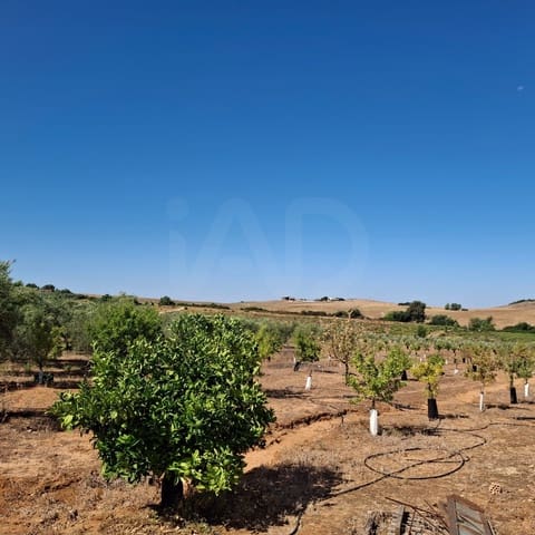 Grond te koop in Cádiz stad - € 99.000 (Ref: 9988486)