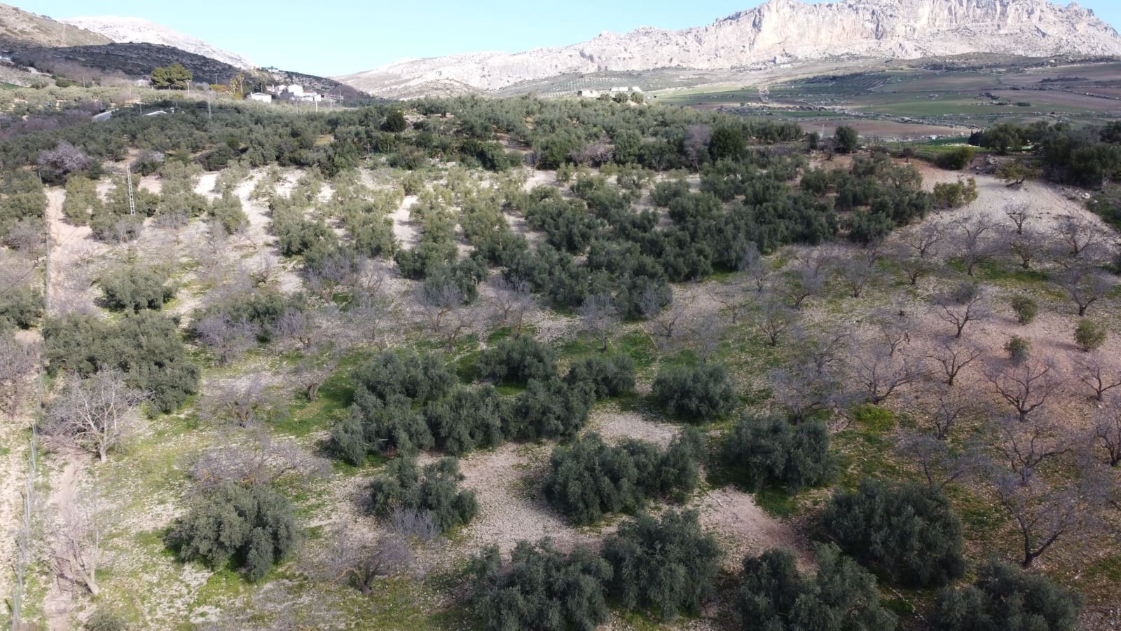 Casa de 3 habitaciones en Villanueva de la Concepcion en venta con garaje - 275.000 € (Ref: 9988492)