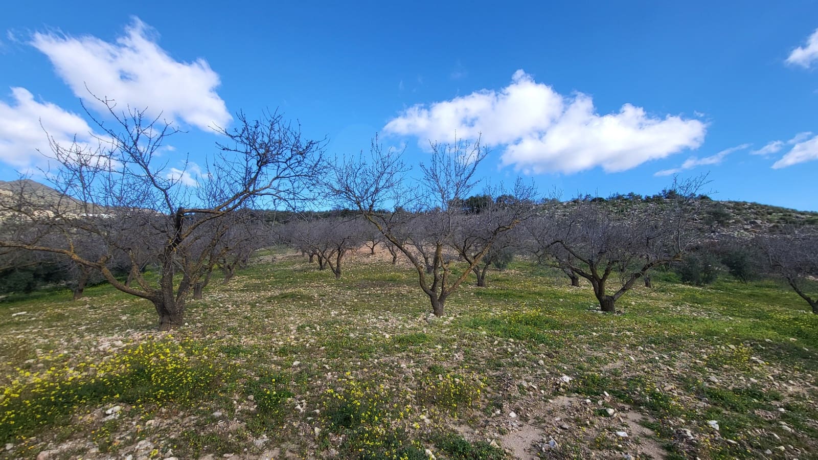 Casa de 3 habitaciones en Villanueva de la Concepcion en venta con garaje - 275.000 € (Ref: 9988492)