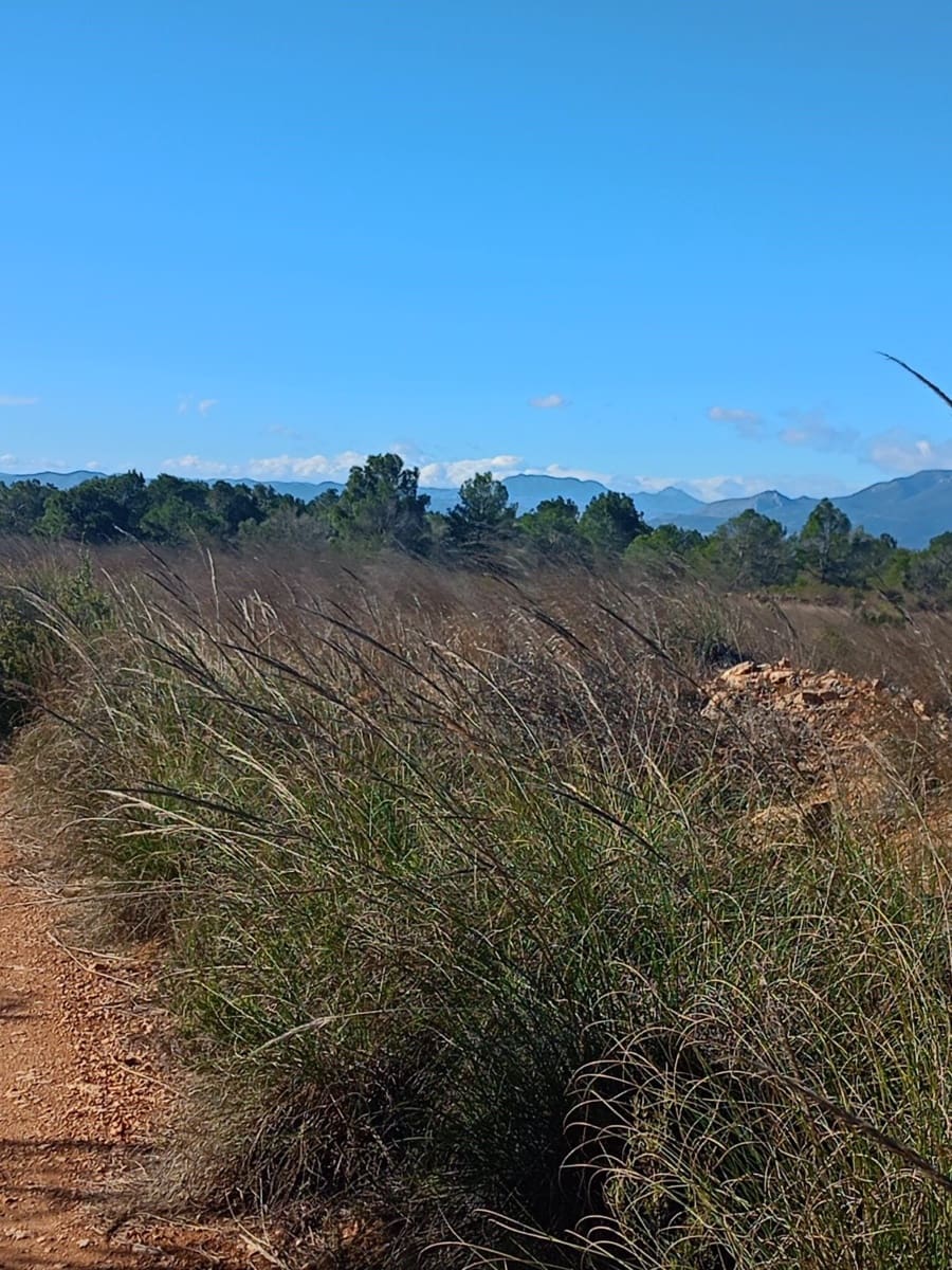 Grond te koop in Aviles - € 14.000 (Ref: 9988494)