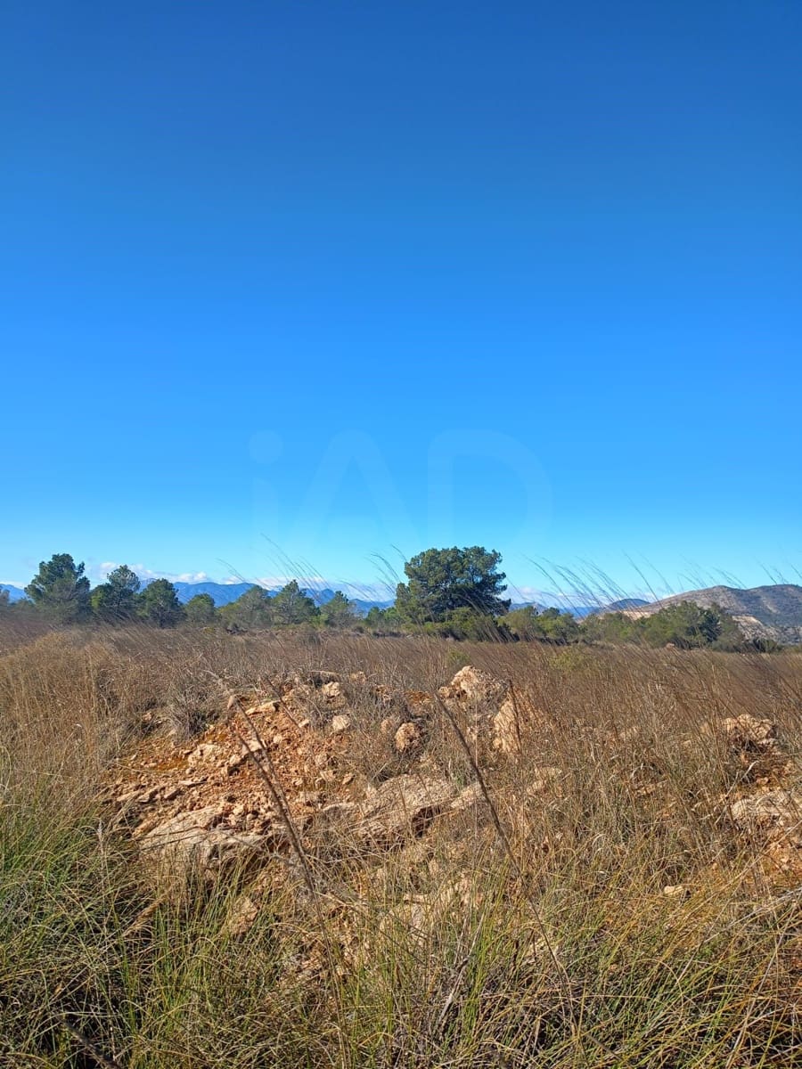 Grond te koop in Aviles - € 14.000 (Ref: 9988494)