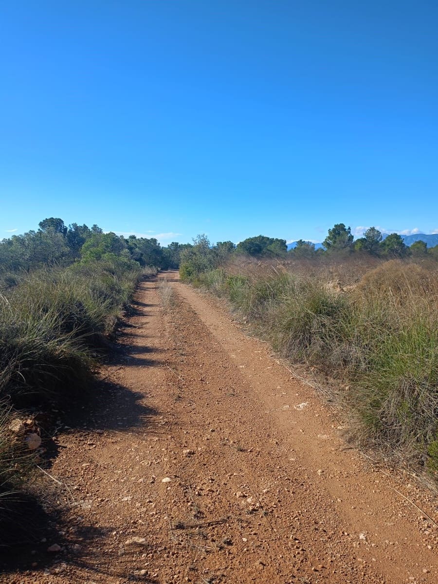 Grond te koop in Aviles - € 14.000 (Ref: 9988494)