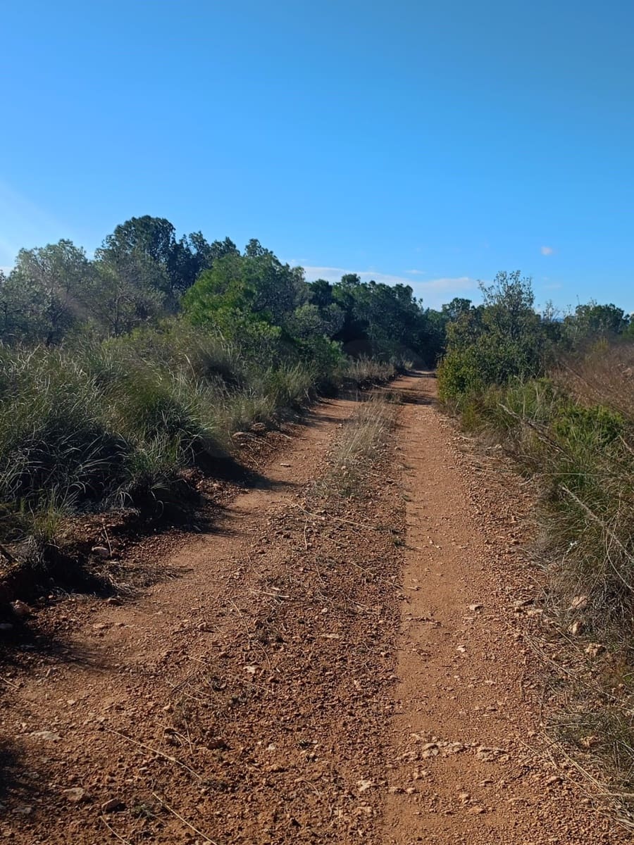 Grond te koop in Aviles - € 14.000 (Ref: 9988494)