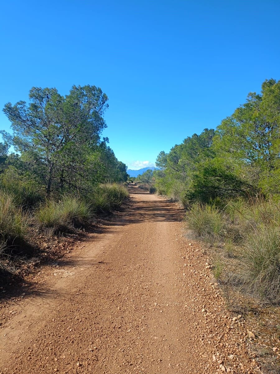 Grond te koop in Aviles - € 14.000 (Ref: 9988494)