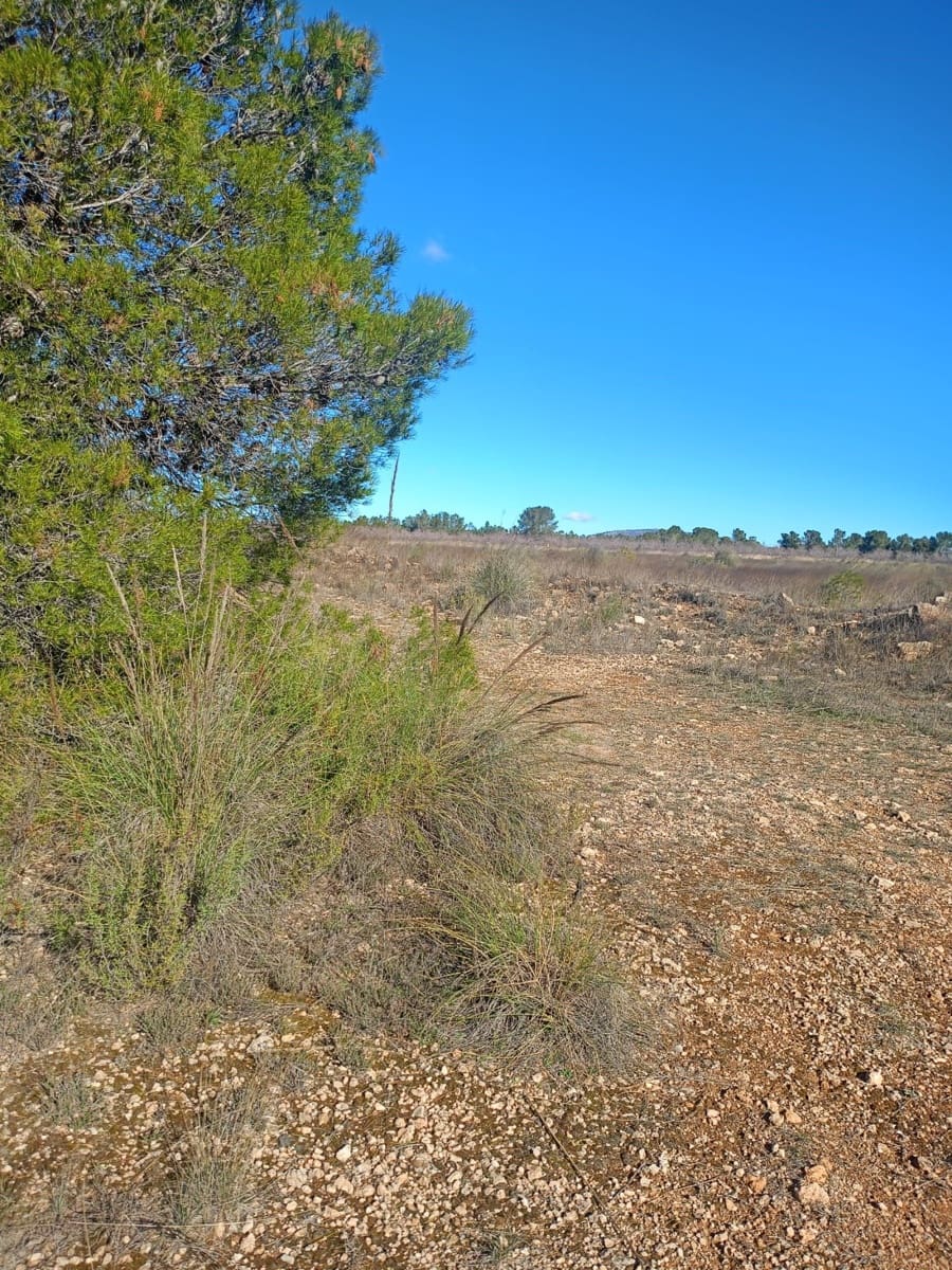 Grond te koop in Aviles - € 14.000 (Ref: 9988494)