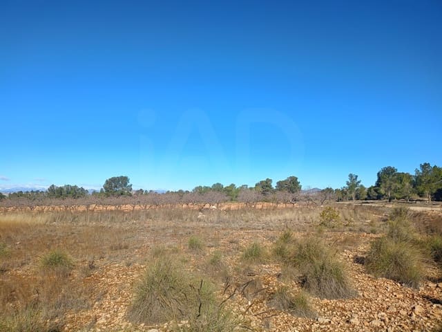 Grond te koop in Aviles, Lorca - € 14.000 (Ref: 9988494)