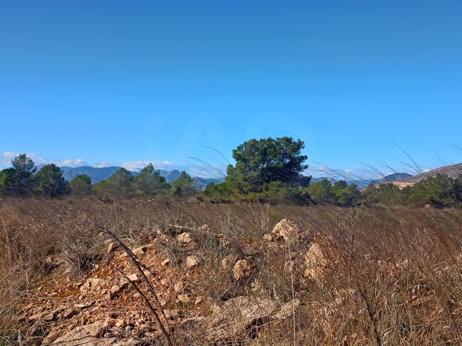 Grond te koop in Aviles - € 14.000 (Ref: 9988494)