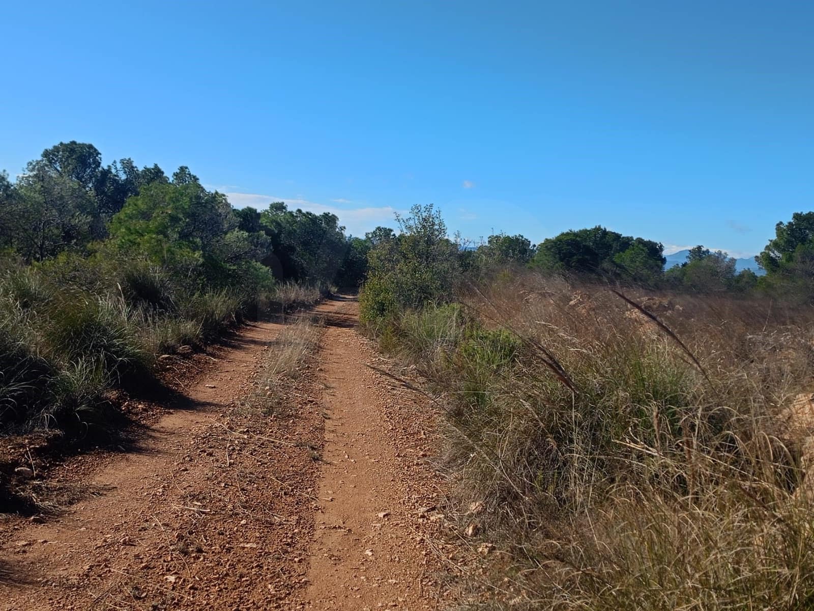 Grond te koop in Aviles - € 14.000 (Ref: 9988494)