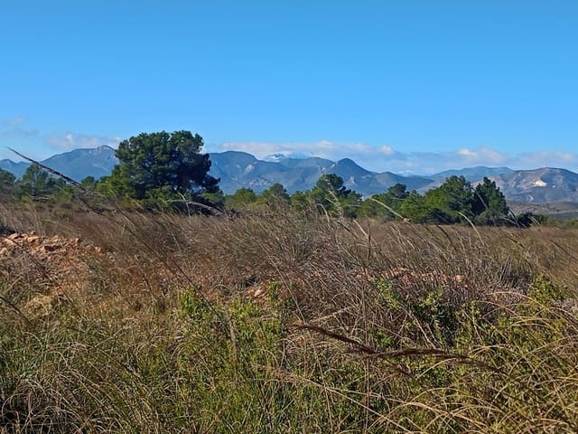 Grond te koop in Aviles, Lorca - € 14.000 (Ref: 9988494)