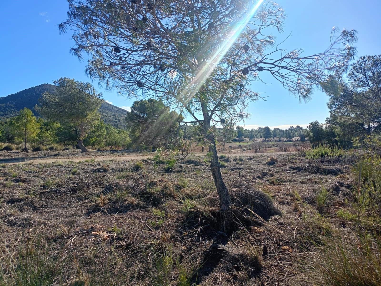 Grond te koop in Aviles - € 14.000 (Ref: 9988494)