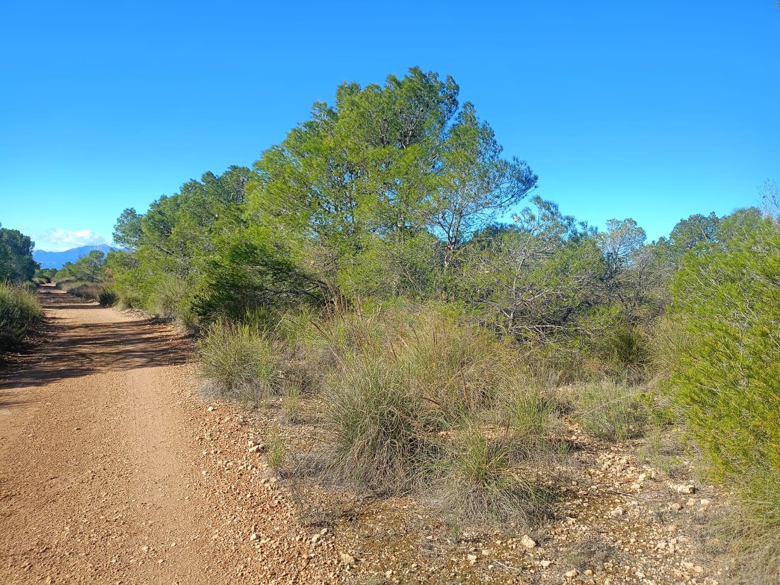 Grond te koop in Aviles - € 14.000 (Ref: 9988494)