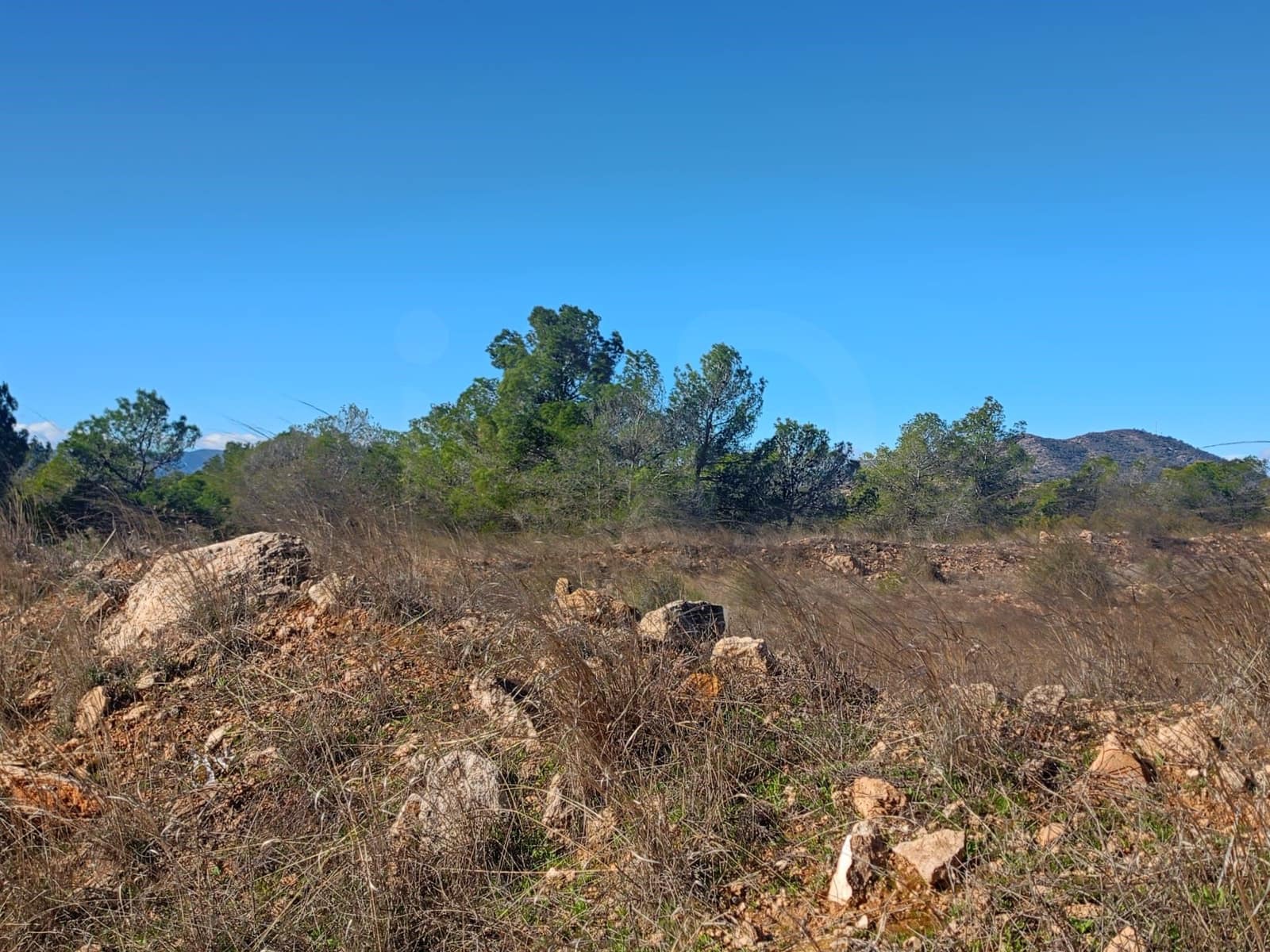 Grond te koop in Aviles - € 14.000 (Ref: 9988494)