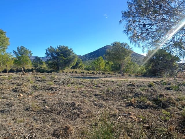 Grond te koop in Aviles, Lorca - € 14.000 (Ref: 9988494)