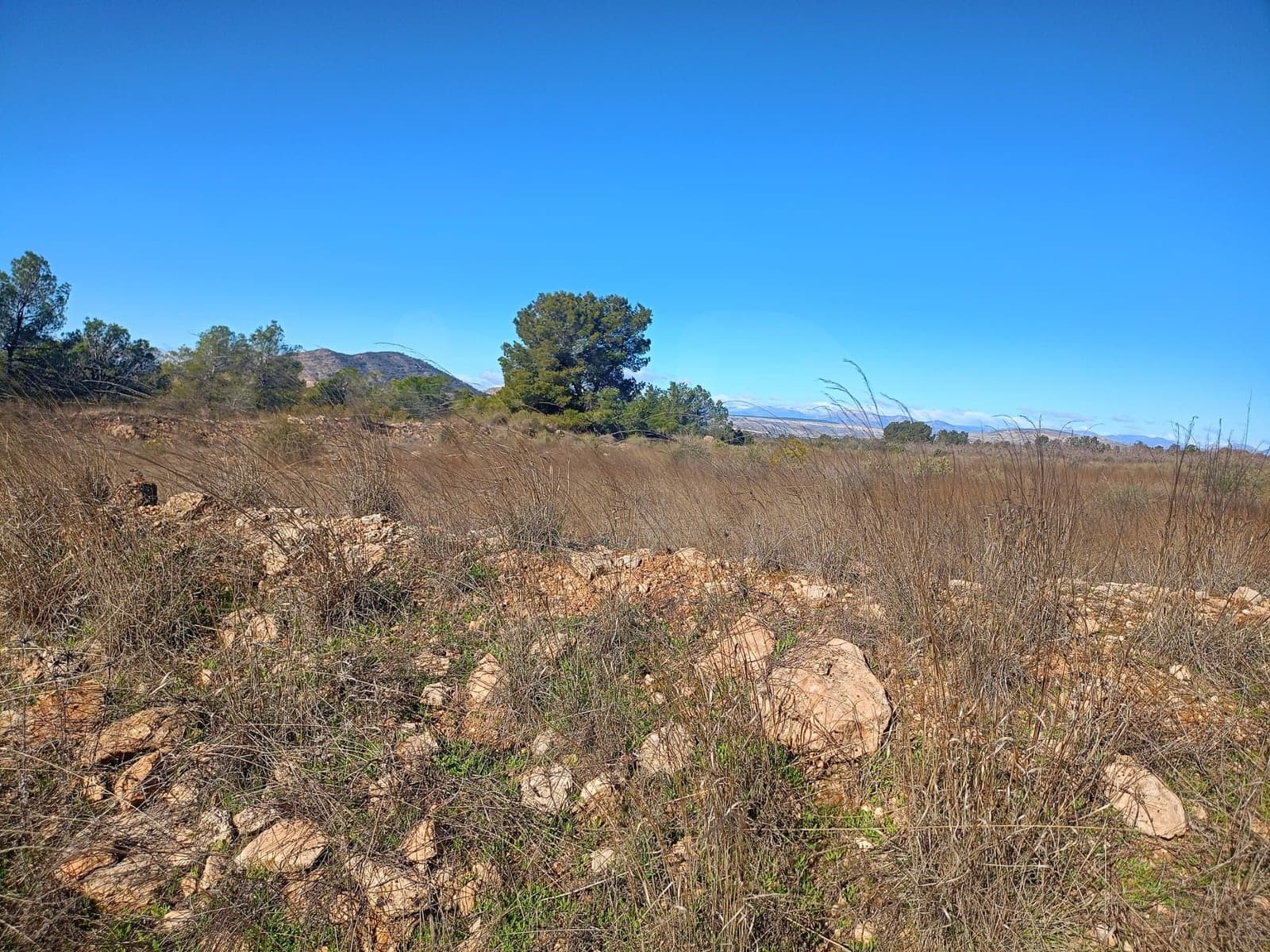 Grond te koop in Aviles - € 14.000 (Ref: 9988494)