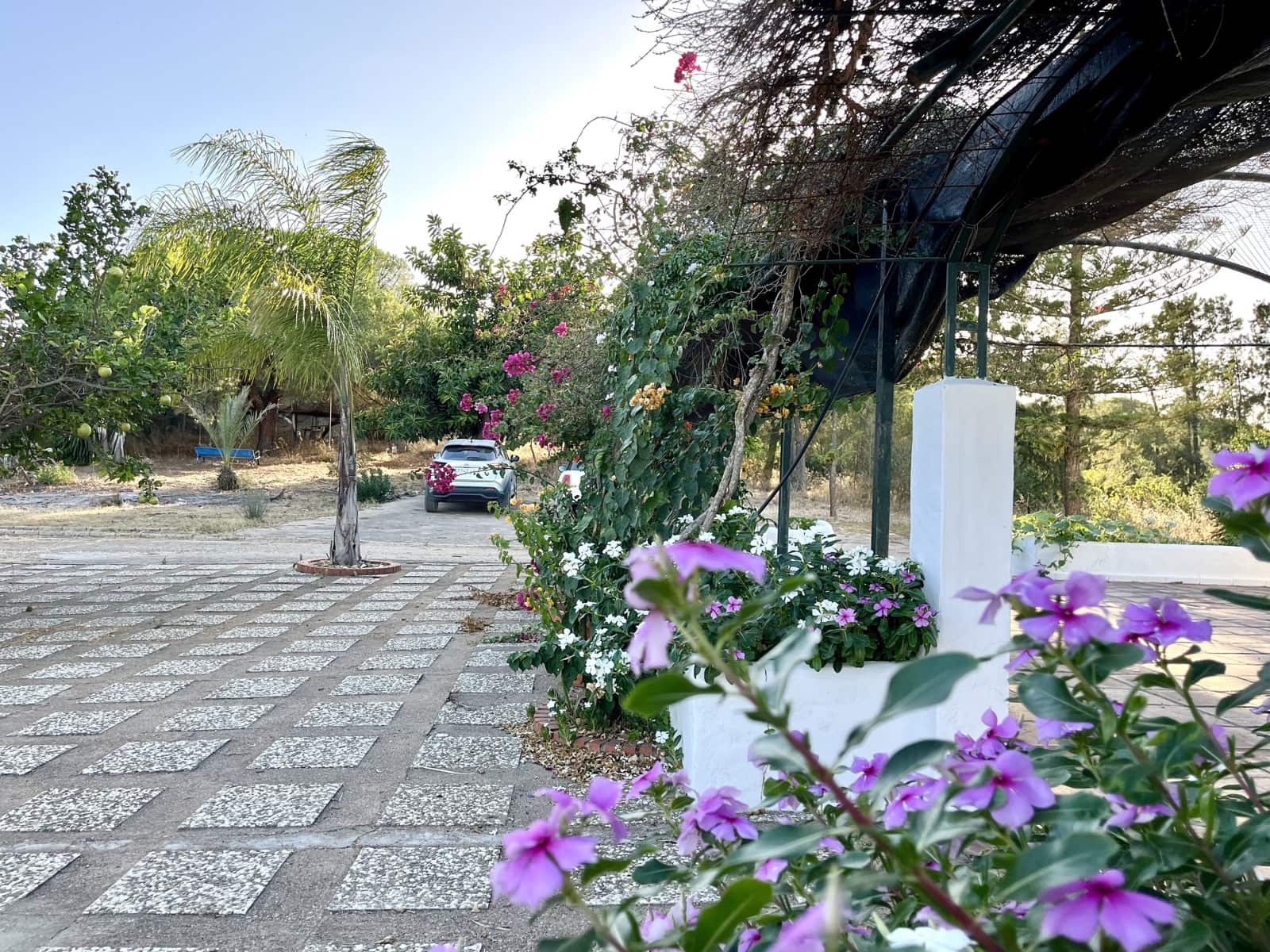 3 soveværelse Finca/Landehus til salg i Huelva by med swimmingpool garage - € 375.000 (Ref: 9988496)