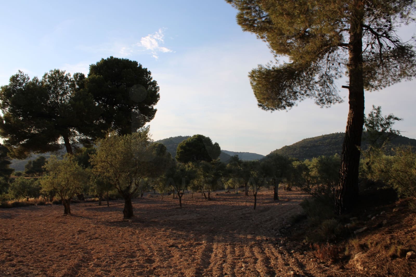 4 bedroom Finca/Country House for sale in Alicante / Alacant city with garage - € 450,000 (Ref: 9988501)