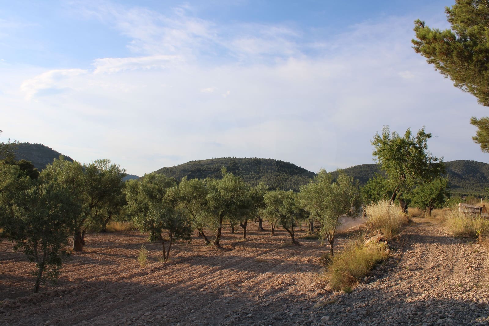 4 bedroom Finca/Country House for sale in Alicante / Alacant city with garage - € 450,000 (Ref: 9988501)