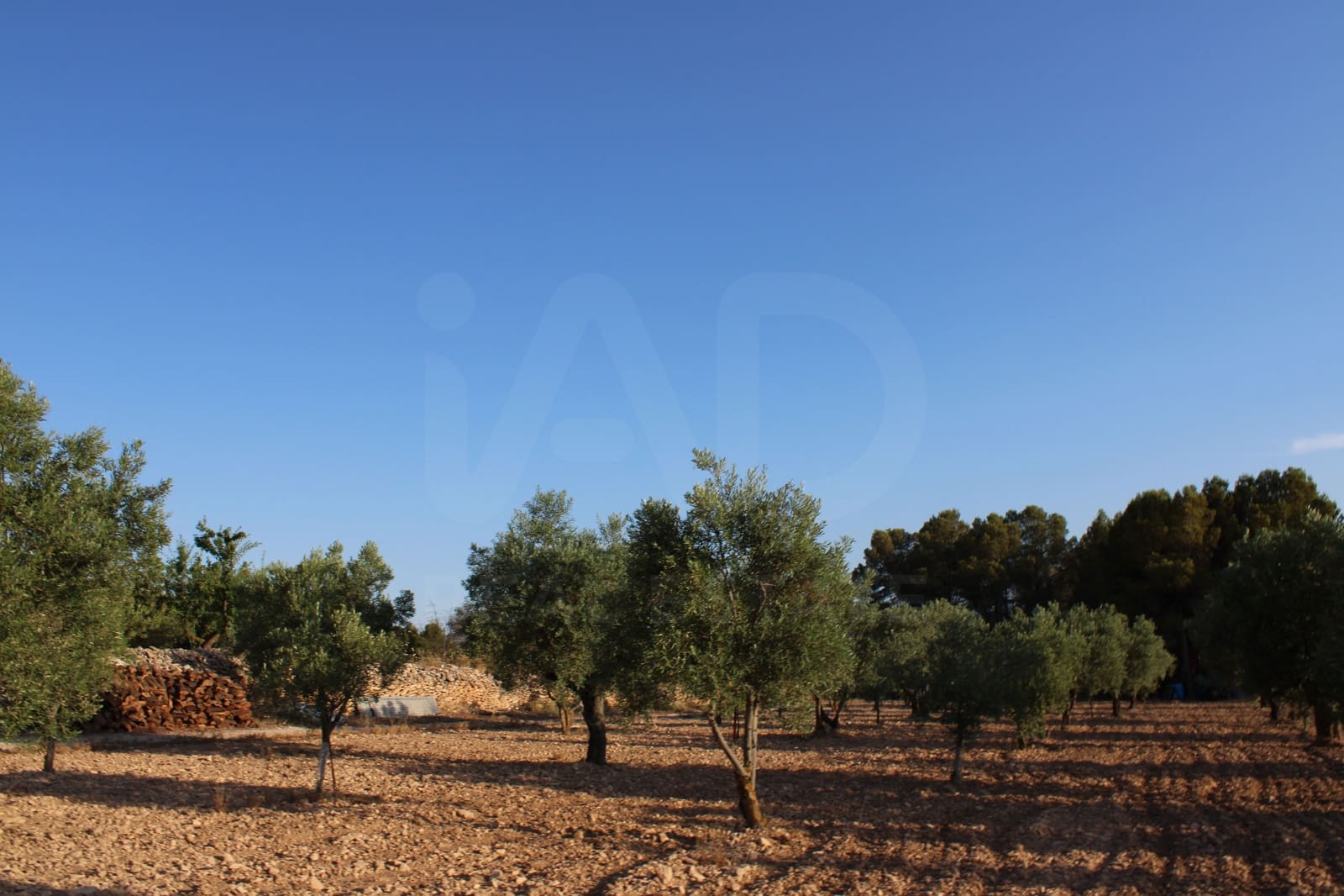 4 bedroom Finca/Country House for sale in Alicante / Alacant city with garage - € 450,000 (Ref: 9988501)