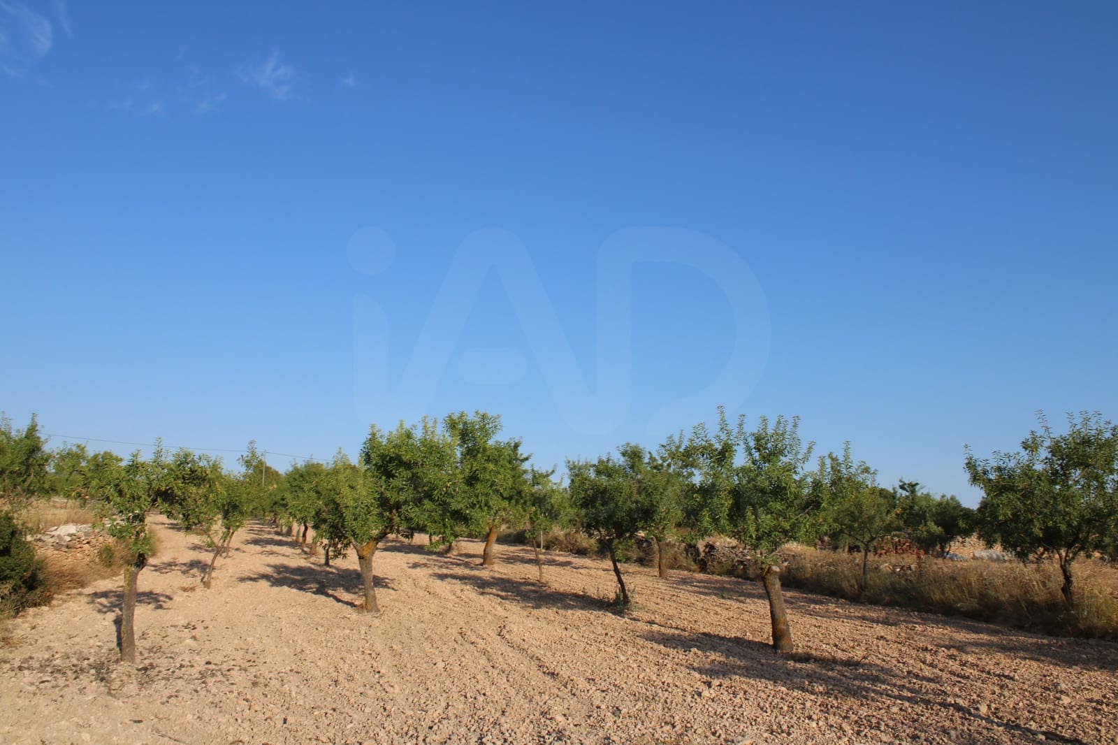 4 bedroom Finca/Country House for sale in Alicante / Alacant city with garage - € 450,000 (Ref: 9988501)