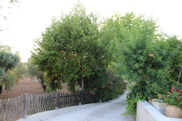 4 chambre Finca/Maison de Campagne à vendre à Onil avec garage - 450 000 € (Ref: 9988501)