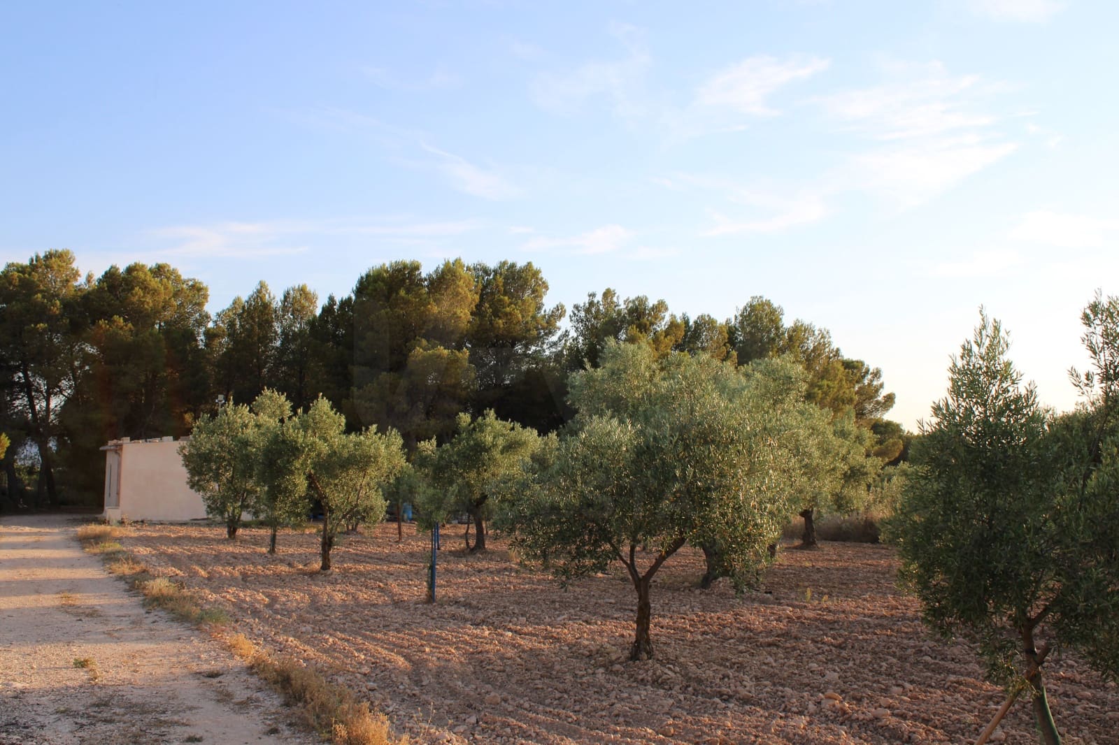 4 bedroom Finca/Country House for sale in Alicante / Alacant city with garage - € 450,000 (Ref: 9988501)