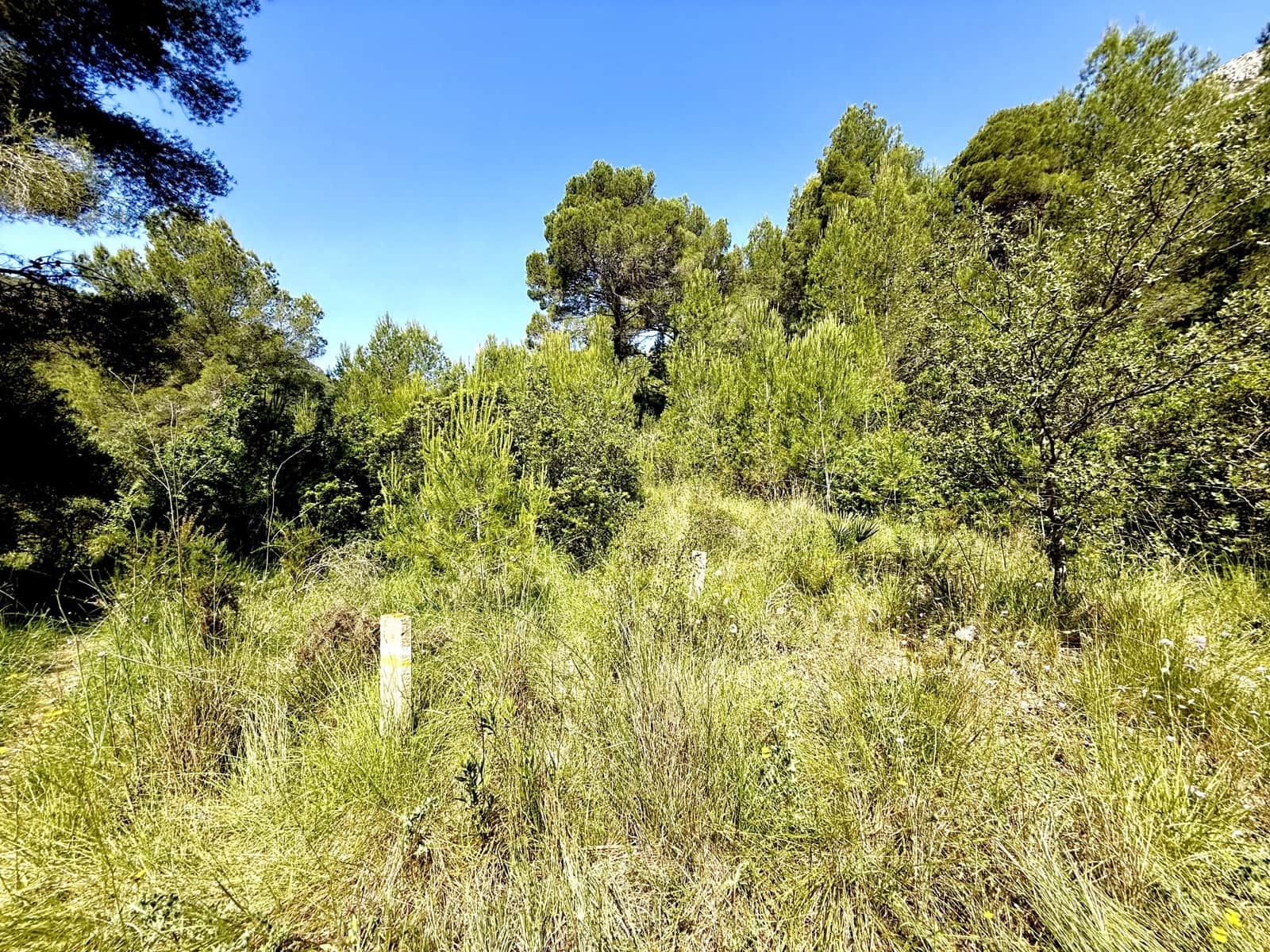 Terre non Aménagée à vendre à Alicante ville - 49 000 € (Ref: 9988508)