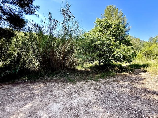 Terreno Non Edificato in vendita in Alicante città - 49.000 € (Rif: 9988508)