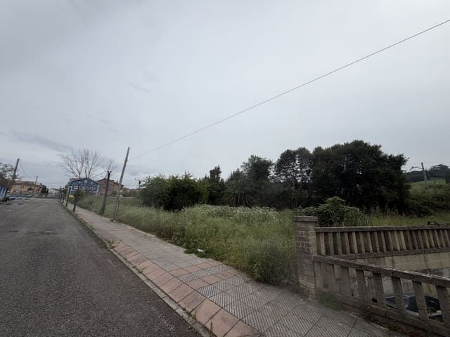 Terreno Non Edificato in vendita in Soto del Barco - 90.000 € (Rif: 9988534)