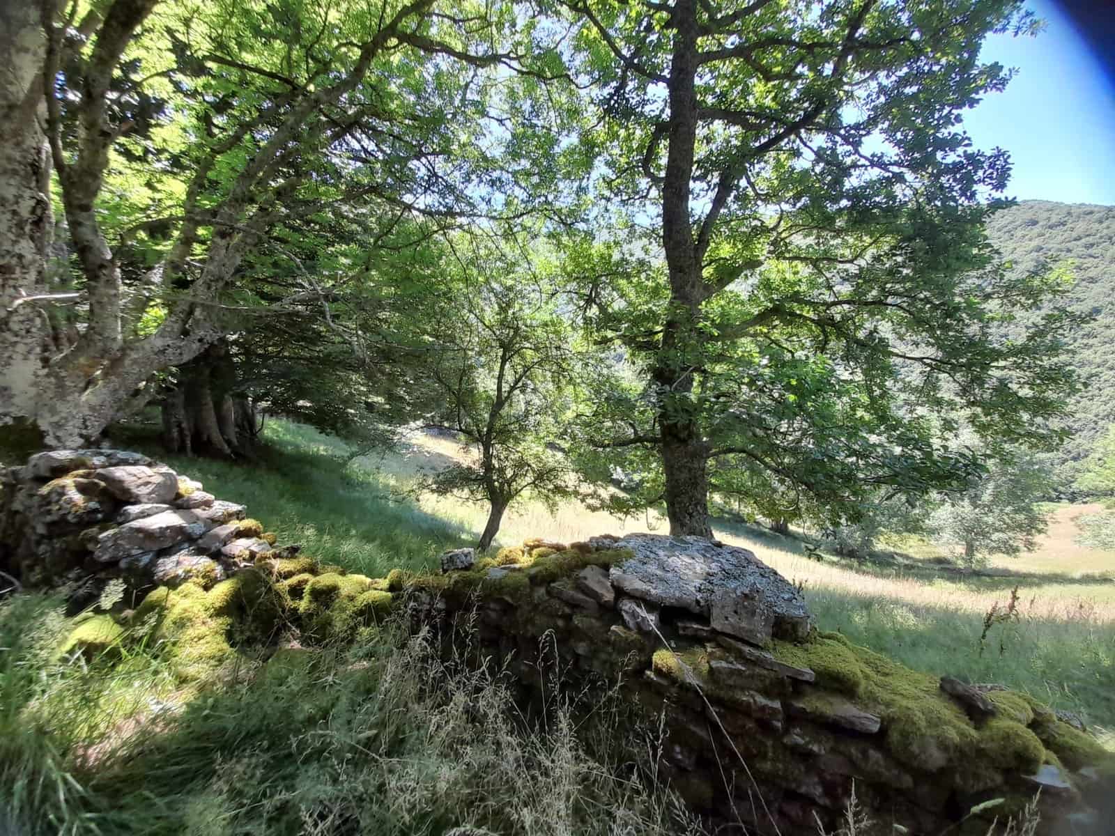 Hus til salgs i Burgos by - € 65 000 (Ref: 9988539)